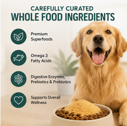 Dazywood Super Topper for Dogs | Dog Food Topper