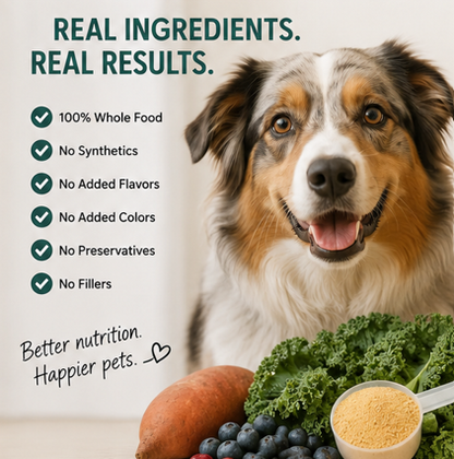 Dazywood Super Topper for Dogs | Dog Food Topper