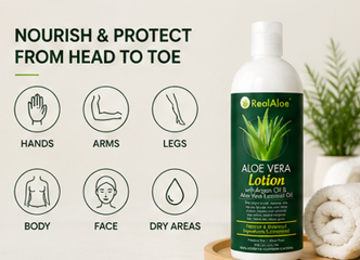 Aloe Vera Body Lotion | Argan + Jojoba + Calendula | 16 fl oz